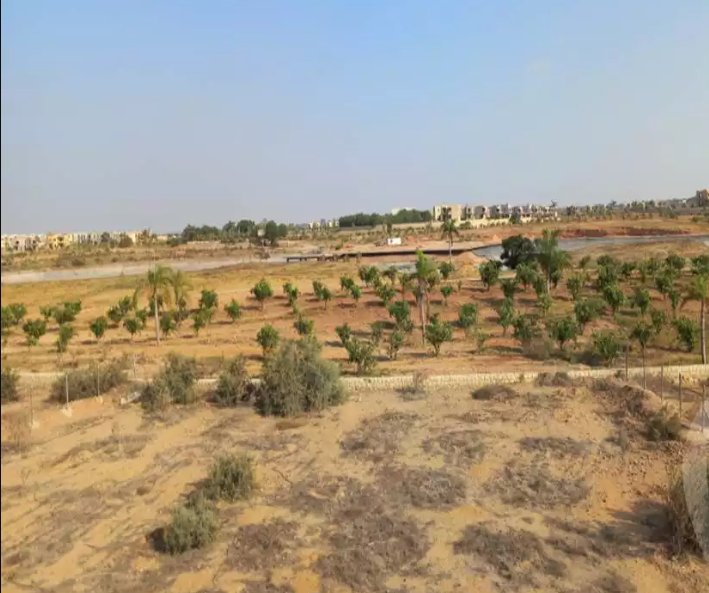 IVY New Zayed under Construction